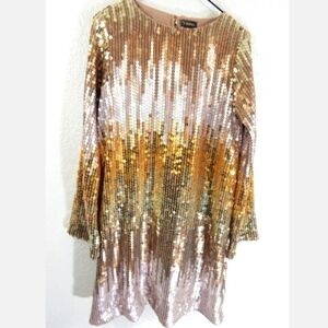 Velveteen Veronica Sequined Shift Dress